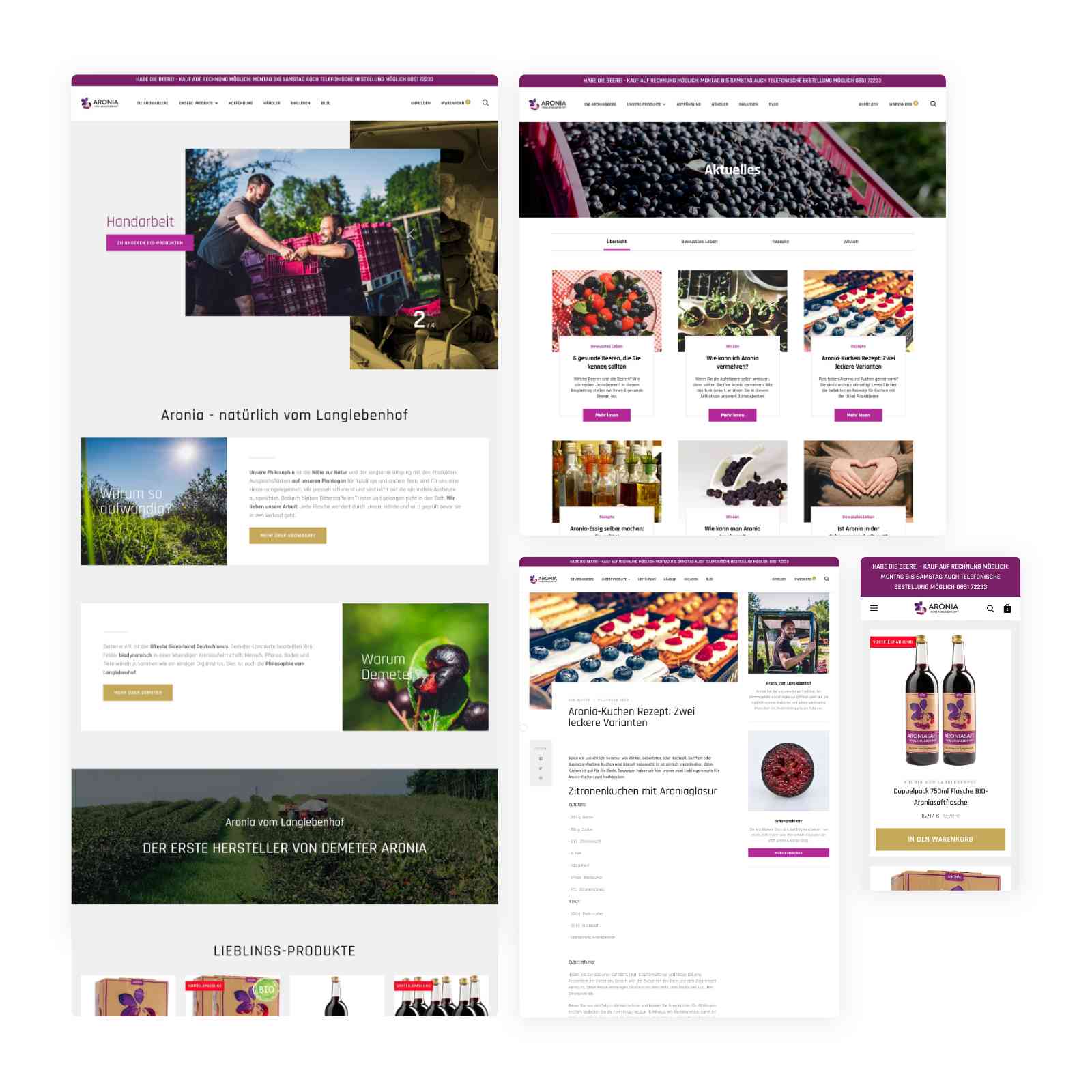 Custom Blog- und Collection Pages